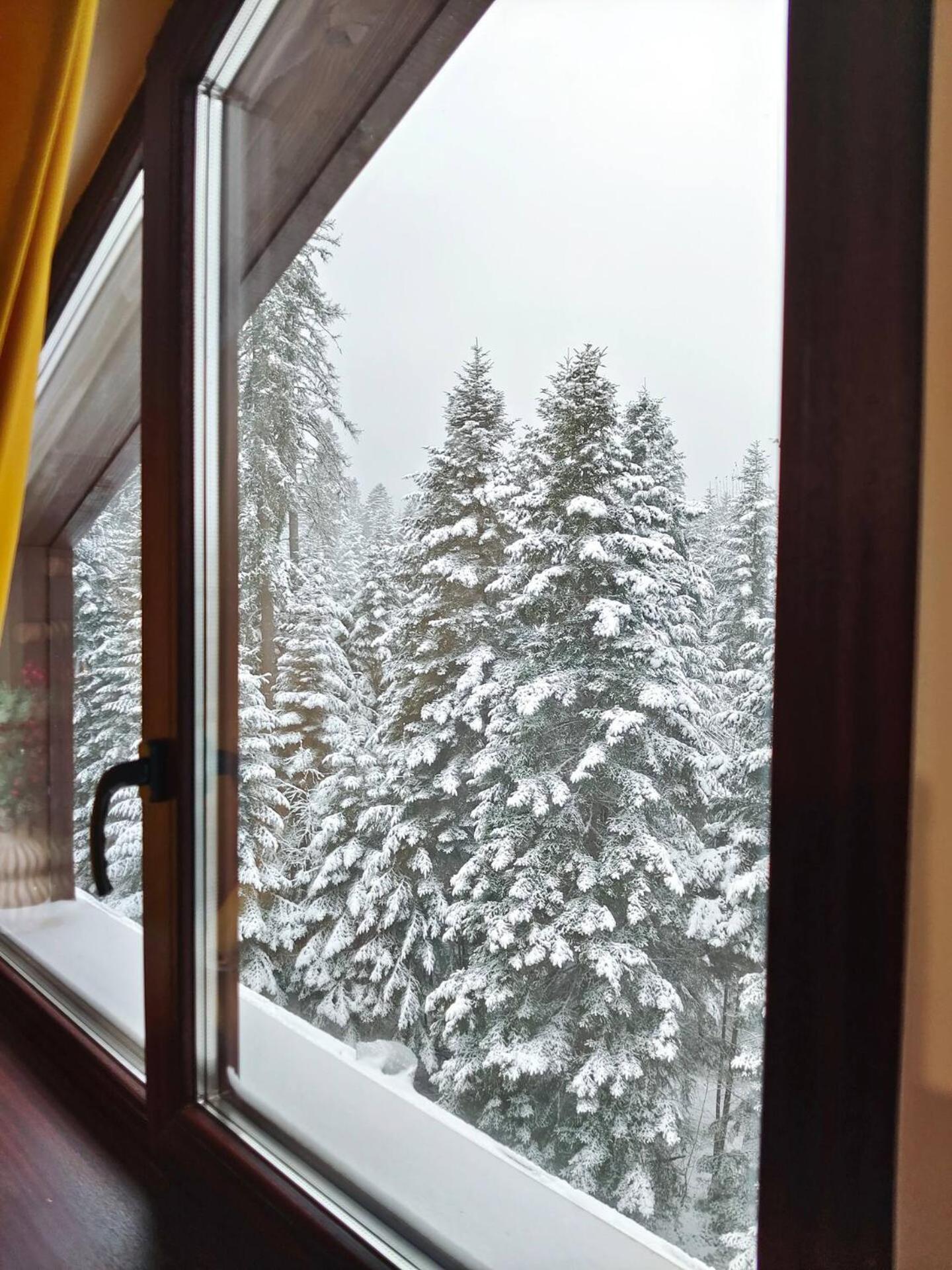 Borovets Dream Studio מראה חיצוני תמונה